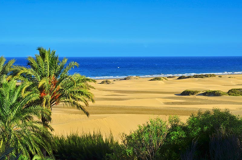 Dunas de Maspalomas, Gran Canaria LCT Europe
